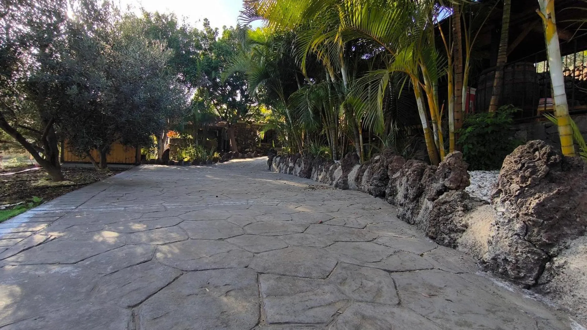 Finca Veronica Candelaria Chalet